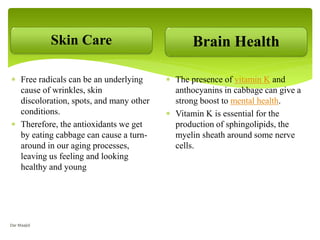Skin Care
 Free radicals can be an underlying
cause of wrinkles, skin
discoloration, spots, and many other
conditions.
 Therefore, the antioxidants we get
by eating cabbage can cause a turn-
around in our aging processes,
leaving us feeling and looking
healthy and young
Brain Health
 The presence of vitamin K and
anthocyanins in cabbage can give a
strong boost to mental health.
 Vitamin K is essential for the
production of sphingolipids, the
myelin sheath around some nerve
cells.
Dar Maajid
 
