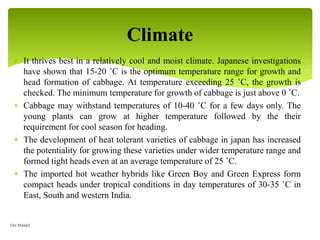  It thrives best in a relatively cool and moist climate. Japanese investigations
have shown that 15-20 ˚C is the optimum temperature range for growth and
head formation of cabbage. At temperature exceeding 25 ˚C, the growth is
checked. The minimum temperature for growth of cabbage is just above 0 ˚C.
 Cabbage may withstand temperatures of 10-40 ˚C for a few days only. The
young plants can grow at higher temperature followed by the their
requirement for cool season for heading.
 The development of heat tolerant varieties of cabbage in japan has increased
the potentiality for growing these varieties under wider temperature range and
formed tight heads even at an average temperature of 25 ˚C.
 The imported hot weather hybrids like Green Boy and Green Express form
compact heads under tropical conditions in day temperatures of 30-35 ˚C in
East, South and western India.
Climate
Dar Maajid
 