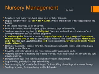 Nursery Management
 Select new field every year. Avoid heavy soils for better drainage.
 Prepare nursery beds of size 3m X 1m X 0.15m. 10 beds are sufficient to raise seedlings for one
hectare.
 FYM should be applied @ 20-25 kg/bed.
 Drench the nursery beds with captaf 2g/litre of water 5 days before sowing.
 Seeds are sown in nursery beds @ 37-50g/bed. Cover the seeds with sieved mixture of well
decomposed manure and soil in equal proportion.
 In northern plains the seeds are sown in August-September for early crop and September-
October for late crop. In hills the cabbage seeds are sown from the beginning of March to the
end of June for fresh vegetable and for seed crop it varies from July (late cultivars) to August
(early cultivars).
 Hot water treatment of seeds at 50oC for 30 minutes is beneficial to control seed borne disease
like black rot and black leg.
 Cover the seed beds with straw and remove it soon after germination starts.
 Water the nursery beds morning and evening everyday with a rose can for first few days and light
irrigation later on.
 Protect nursery beds from hot sunshine and heavy rains. (polytunnels)
 Stop watering gradually 3-4 days before lifting.
 Water thoroughly 2-3 hours before lifting to facilitate lifting of seedlings without root damage.
 Seedlings are ready for transplanting within 4-5 weeks.
Dar Maajid
 