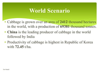  Cabbage is grown over an area of 2412 thousand hectares
in the world, with a production of 69381 thousand tonnes.
 China is the leading producer of cabbage in the world
followed by India
 Productivity of cabbage is highest in Republic of Korea
with 72.45 t/ha.
World Scenario
Dar Maajid
 