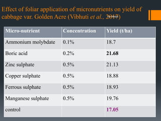 Effect of foliar application of micronutrients on yield of
cabbage var. Golden Acre (Vibhuti et al., 2017)
Micro-nutrient Concentration Yield (t/ha)
Ammonium molybdate 0.1% 18.7
Boric acid 0.2% 21.68
Zinc sulphate 0.5% 21.13
Copper sulphate 0.5% 18.88
Ferrous sulphate 0.5% 18.93
Manganese sulphate 0.5% 19.76
control 17.05
Dar Maajid
 