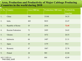 S. No. Country Area (‘000 ha) Production (‘000 tons) Productivity
(tons/ha)
1. China 966 33188 34.35
2. India 402 9035 22.47
3. Republic of Korea 35 2536 72.45
4. Russian Federation 72 2495 34.65
5. Ukraine 63 1672 26.53
6. Indonesia 66 1407 21.31
7. Japan 35 1379 39.4
8. Romania 47 1067 22.70
9. Poland 24 985 41.04
10. U.S.A 21 884 42.09
Area, Production and Productivity of Major Cabbage Producing
Countries in the world during 2018
FAO Stat, 2018
Dar Maajid
 