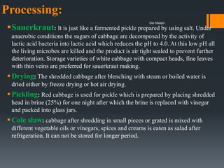 Processing:
Sauerkraut: It is just like a fermented pickle prepared by using salt. Under
anaerobic conditions the sugars of cabbage are decomposed by the activity of
lactic acid bacteria into lactic acid which reduces the pH to 4.0. At this low pH all
the living microbes are killed and the product is air tight sealed to prevent further
deterioration. Storage varieties of white cabbage with compact heads, fine leaves
with thin veins are preferred for sauerkraut making.
Drying: The shredded cabbage after blenching with steam or boiled water is
dried either by freeze drying or hot air drying.
Pickling: Red cabbage is used for pickle which is prepared by placing shredded
head in brine (25%) for one night after which the brine is replaced with vinegar
and packed into glass jars.
Cole slaw: cabbage after shredding in small pieces or grated is mixed with
different vegetable oils or vinegars, spices and creams is eaten as salad after
refrigeration. It can not be stored for longer period.
Dar Maajid
 