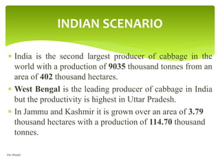  India is the second largest producer of cabbage in the
world with a production of 9035 thousand tonnes from an
area of 402 thousand hectares.
 West Bengal is the leading producer of cabbage in India
but the productivity is highest in Uttar Pradesh.
 In Jammu and Kashmir it is grown over an area of 3.79
thousand hectares with a production of 114.70 thousand
tonnes.
INDIAN SCENARIO
Dar Maajid
 