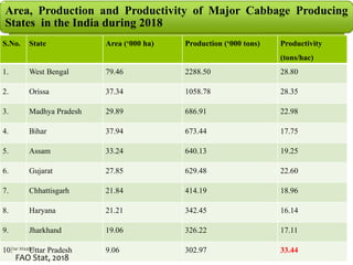 S.No. State Area (‘000 ha) Production (‘000 tons) Productivity
(tons/hac)
1. West Bengal 79.46 2288.50 28.80
2. Orissa 37.34 1058.78 28.35
3. Madhya Pradesh 29.89 686.91 22.98
4. Bihar 37.94 673.44 17.75
5. Assam 33.24 640.13 19.25
6. Gujarat 27.85 629.48 22.60
7. Chhattisgarh 21.84 414.19 18.96
8. Haryana 21.21 342.45 16.14
9. Jharkhand 19.06 326.22 17.11
10. Uttar Pradesh 9.06 302.97 33.44
Area, Production and Productivity of Major Cabbage Producing
States in the India during 2018
FAO Stat, 2018
Dar Maajid
 