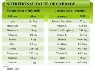 NUTRITIONAL VALUE OF CABBAGE
Composition of minerals
Vitamin A 80 IU
Lutein + Zeaxanthin 27 µg
Vitamin C 37.5 mg
Vitamin E (α-Tocopherol) 0.41 mg
Vitamin K 108.7 µg
Thiamin 0.061 mg
Riboflavin 0.038 mg
Niacin 0.248 mg
Vitamin B6 0.112 mg
Folate 30 µg
Pantothenic acid 0.174 mg
Composition of vitamins
USDA , 2018
Calcium 48 mg
Iron 0.17 mg
Magnesium 15 mg
Phosphorus 33 mg
Potassium 196 mg
Sodium 8 mg
Zinc 0.2 mg
Copper 0.017 mg
Manganese 0.205 mg
Selenium 0.6 µg
Fluoride 1 µg
Dar Maajid
 