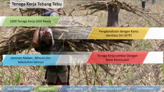 Tenaga Kerja Tebang Tebu
1000 Tenaga Kerja (450 Ready)
Pengkondisian dengan Kartu
Identitas Diri (KTP)
Jaminan Makan , Minum dan
kebutuhan lainnya
Tenaga Kerja Lembur Dengan
Batas Kesesuaian
Tanaman Kayu KerasTenaga Kerja Land ClearingJasa Transportasi Jasa Kontruksi
 