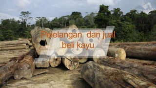 Pelelangan dan jual
beli kayu
 