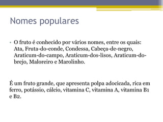 Nomes populares
• O fruto é conhecido por vários nomes, entre os quais:
Ata, Fruta-do-conde, Condessa, Cabeça-de-negro,
Araticum-do-campo, Araticum-dos-lisos, Araticum-do-
brejo, Maloreiro e Marolinho.
É um fruto grande, que apresenta polpa adocicada, rica em
ferro, potássio, cálcio, vitamina C, vitamina A, vitamina B1
e B2.
 