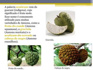 A palavra araticum vem do
guarani (indígena), cujo
significado é fruto mole.
Esse nome é comumente
utilizado para muitas
variedades de Annona, como a
fruta-do-conde (Annona
squamosa), a graviola
(Annona muricata) e o
araticum-do-cerrado ou
cabeça de negro (Annona
crassiflora).
Graviola.
Cabeça de negro.Fruta-do-conde..
 