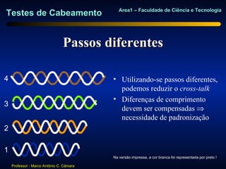 Area1 – Faculdade de Ciência e Tecnologia
Testes de Cabeamento


                                Passos diferentes

4                                         • Utilizando-se passos diferentes,
                                            podemos reduzir o cross-talk
                                          • Diferenças de comprimento
3
                                            devem ser compensadas ⇒
                                            necessidade de padronização
2

1
                                          Na versão impressa, a cor branca foi representada por preto !

    Professor : Marco Antônio C. Câmara
 