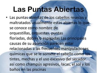 Las Puntas Abiertas
• Las puntas abiertas de los cabellos resecos y
  maltratados usualmente estas abiertas lo que
  se conoce como nombre de
  orquestillas, orquestas, puntas
  floriadas, dobles o espigadas Las principales
  causas de su aparición parecen estar
  relacionadas a las frecuentes manipulaciones
  químicas que se le somete el cabello como los
  tintes, mechas y el uso excesivo del secador
  así como champús agresivos, lacas, el sol y los
  baños en las piscinas
 