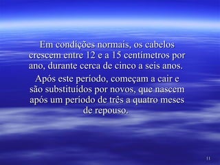 Em condições normais, os cabelos
crescem entre 12 e a 15 centímetros por
ano, durante cerca de cinco a seis anos.
  Após este período, começam a cair e
são substituídos por novos, que nascem
após um período de três a quatro meses
              de repouso.



                                           11
 