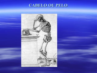 CABELO OU PELO
 
