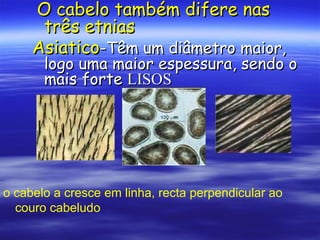 O cabelo também difere nas
      três etnias
     Asiatico-Têm um diâmetro maior,
       logo uma maior espessura, sendo o
       mais forte LISOS




o cabelo a cresce em linha, recta perpendicular ao
  couro cabeludo
 