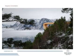 Stegastein/ Aurlandsfjellet 