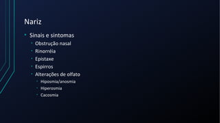 Nariz
• Sinais e sintomas
• Obstrução nasal
• Rinorréia
• Epistaxe
• Espirros
• Alterações de olfato
• Hiposmia/anosmia
• Hiperosmia
• Cacosmia
 