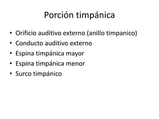 • Orificio auditivo externo (anillo timpanico)
• Conducto auditivo externo
• Espina timpánica mayor
• Espina timpánica menor
• Surco timpánico
Porción timpánica
 
