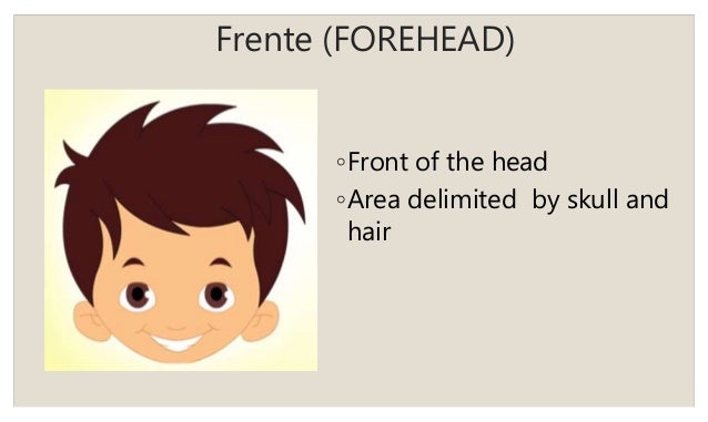 Como Se Dice En Ingles Oreja