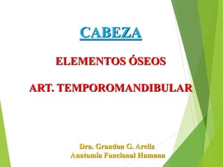 CABEZA
ELEMENTOS ÓSEOS
ART. TEMPOROMANDIBULAR
Dra. Grandon G. Areliz
Anatomía Funcional Humana
 