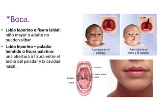 Semiología cabez y cuello. | PDF