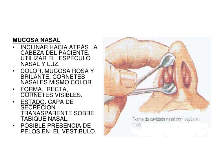 El dolor en el campo de la espalda en el frío