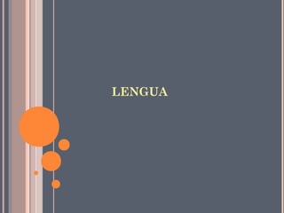 LENGUA
 