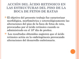 ACCIÓN DEL ÁCIDO RETINOICO EN
LAS ESTRUCTURAS DEL PISO DE LA
BOCA DE FETOS DE RATAS
 El objetivo del presente trabajo fue caracterizar
morfológica, morfométrica y estereológicamente las
alteraciones del piso de la boca de fetos de rata,
provocadas por el ácido retinoico cuando es
administrado en el 10º día de preñez.
 Los resultados obtenidos sugieren que el ácido
retinoico actúa en la embriogénesis provocando
alteraciones del desarrollo embrionario.
 