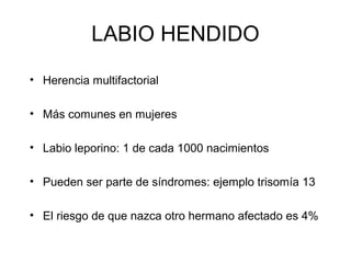 LABIO HENDIDO
• Herencia multifactorial
• Más comunes en mujeres
• Labio leporino: 1 de cada 1000 nacimientos
• Pueden ser parte de síndromes: ejemplo trisomía 13
• El riesgo de que nazca otro hermano afectado es 4%

 