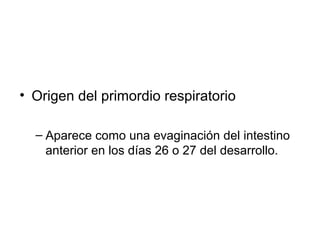• Origen del primordio respiratorio
– Aparece como una evaginación del intestino
anterior en los días 26 o 27 del desarrollo.

 