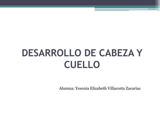 DESARROLLO DE CABEZA Y
CUELLO
Alumna: Yesenia Elizabeth Villacorta Zacarías
 