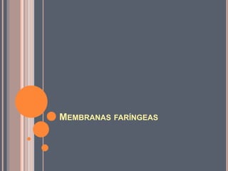 MEMBRANAS FARÍNGEAS
 