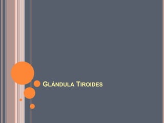 GLÁNDULA TIROIDES
 