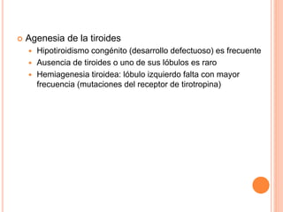  Agenesia de la tiroides
 Hipotiroidismo congénito (desarrollo defectuoso) es frecuente
 Ausencia de tiroides o uno de sus lóbulos es raro
 Hemiagenesia tiroidea: lóbulo izquierdo falta con mayor
frecuencia (mutaciones del receptor de tirotropina)
 
