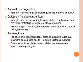  Anomalías congénitas
 Fisuras, hipertrofia de papilas linguales (síndrome de Down
 Quistes y fístulas congénitos
 Vestigios del conducto tirogloso -- quistes; pueden crecer y
provocar molestias faríngeas, disfagia o ambas
 Mismo origen -- fístulas; se abren en la cavidad oral a través
del agujero ciego
 Anquiloglosia
 Frenillo corto, extendiéndose hasta la punta de la lengua,
interfiere con su libre salida -- dificulta lactancia natural
 Generalmente se distiende con el tiempo, no necesita
intervención quirúrgica
 
