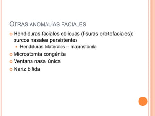 OTRAS ANOMALÍAS FACIALES
 Hendiduras faciales oblicuas (fisuras orbitofaciales):
surcos nasales persistentes
 Hendiduras bilaterales -- macrostomía
 Microstomía congénita
 Ventana nasal única
 Nariz bífida
 
