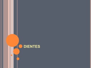 DIENTES
 