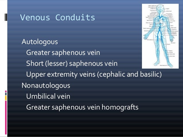 condiuts in Coronary artery bypass grafting