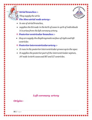 10 | P a g e
 Atrial branches :-
 They supply the atria
 The Sino atrial node artery:-
 Is one of atrialbranches,
 supplies the SA node in the 60% of cases in 40% of individuals
it is arisesfrom the left coronary artery.
 Posteriorventricular branches :-
 they are supply the diaphragmaticsurface ofright and left
ventricles
 Posteriorinterventricularartery :-
 It runs in the posterior interventricular groove up to the apex
 It supplies the posterior part of the interventricular septum,
AV node in 60% casesand RT and LT ventricles.
Left coronary artery
Origin:-
 