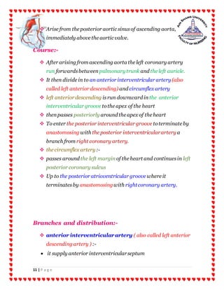 11 | P a g e
 Arise from the posterior aortic sinusof ascending aorta,
immediately above the aortic valve.
Course:-
 After arising from ascending aorta the left coronary artery
run forwardsbetween pulmonary trunk and the left auricle.
 It then divide in to an anterior interventricular artery(also
called left anterior descending) and circumflex artery
 left anterior descending isrun downward in the anterior
interventricular groove tothe apex of the heart
 thenpasses posteriorly around the apex of the heart
 To enter the posterior interventricular groove toterminate by
anastomosing with the posterior interventricularartery a
branch from right coronary artery.
 the circumflex artery:-
 passes around the left margin of the heart and continuesin left
posterior coronary sulcus
 Up to the posterior atrioventricular groove where it
terminatesby anastomosingwith rightcoronary artery.
Branches and distribution:-
 anterior interventricularartery ( also called left anterior
descending artery ) :-
 it supply anterior interventricularseptum
 