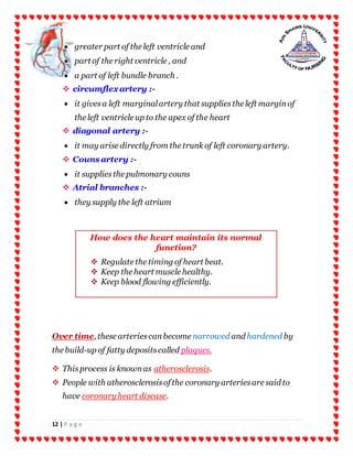 12 | P a g e
 greater part of the left ventricle and
 part of the right ventricle , and
 a part of left bundle branch .
 circumflex artery :-
 it givesa left marginalartery that suppliesthe left marginof
the left ventricle up to the apex of the heart
 diagonal artery :-
 it may arise directly from the trunk of left coronary artery.
 Couns artery :-
 it suppliesthe pulmonary couns
 Atrial branches :-
 they supply the left atrium
Over time, these arteriescanbecome narrowed and hardened by
the build-up of fatty depositscalled plaques.
 Thisprocess is knownas atherosclerosis.
 People with atherosclerosisofthe coronary arteriesare said to
have coronary heart disease.
How does the heart maintain its normal
function?
 Regulate the timing of heart beat.
 Keep the heart muscle healthy.
 Keep blood flowing efficiently.
 