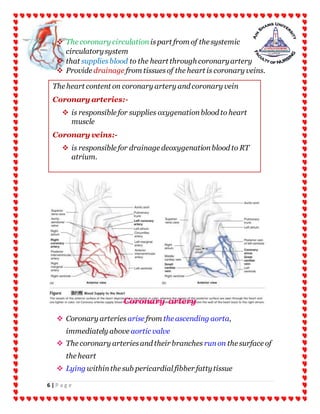 6 | P a g e
 The coronary circulation ispart from of the systemic
circulatorysystem
 that suppliesblood to the heart through coronaryartery
 Provide drainage from tissuesof the heart is coronary veins.
Coronary artery
 Coronary arteries arise from the ascending aorta,
immediately above aortic valve
 The coronary arteriesand their branches runon the surface of
the heart
 Lying withinthe sub pericardial fibber fattytissue
The heart content on coronary artery and coronary vein
Coronary arteries:-
 is responsible for supplies oxygenationblood to heart
muscle
Coronary veins:-
 is responsible for drainage deoxygenationblood to RT
atrium.
 
