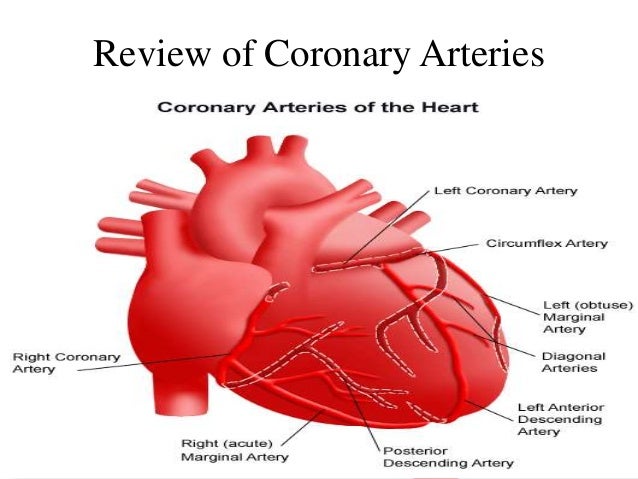 Chest physiotherapy after cabg picture