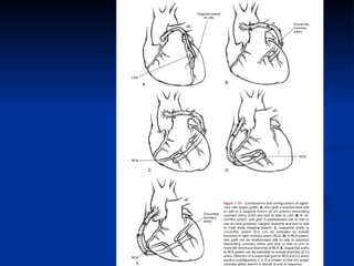 Quintuple Cabg Coronary artery bypass grafting (CABG) | PPT