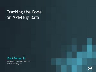 Cracking the Code
on APM Big Data
Bart Peluso III
APM Products & Solutions
CA Technologies
 
