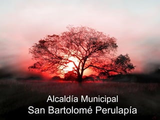 Alcaldía Municipal San Bartolomé Perulapía 