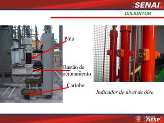 DISJUNTOR
Pólo
Carinho
Bastão de
acionamento
Indicador de nível de óleo
 