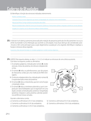 CadernodeAtividades
24
b)	Identifique a função das estruturas indicadas anteriormente:
Núcleo: comando celular.
Lisossomo: Possui enzimas digestivas que atuam na degradação de compostos intra e extracelulares.
Vesícula secretora: Carrega substâncias produzidas pela célula.
Retículo endoplasmático: Rede de canais que transporta substâncias. Pode produzir lipídios e degradar substâncias nocivas (desinto-
xicação). Em conjunto com os ribossomos realiza a síntese proteica.
23.	A silicose é um doença pulmonar provocada pela inalação de pequenas partículas de sílica presentes no ar, já a
artrite reumatoide é uma inflamação que acomete as articulações. Essas duas doenças são consideradas auto-
-imunes e têm como principal causa a ação degenerativa causada por uma organela. Identifique e explique a
função e estrutura dessa organela.
Lisossomos. São vesículas formadas no complexo golgiense e contêm enzimas digestivas.
24.	(UDESC) No esquema abaixo, as setas 1, 2, 3, 4, 5 e 6 indicam as estruturas de uma célula eucarionte.
		Com base no esquema, analise as afirmativas.
I.	O complexo golgiense, indicado pelo número 4, recebe
vesículas cheias de proteínas do retículo endoplasmáti-
co liso.
II.	O número 6 indica os polirribossomos, que são grupos
de ribossomos unidos por uma molécula de RNA men-
sageiro.
III.	O retículo endoplasmático liso, indicado pelo número 1,
é responsável pela síntese de proteínas.
IV.	O número 5 indica a mitocôndria, que tem como função
a respiração celular.
V.	O número 3 indica a membrana plasmática, que é com-
posta por vários fosfolipídios que se organizam em uma
dupla camada constituída pelas proteínas mergulhadas
(proteínas integrais) e pelas proteínas aderidas (proteí-
nas periféricas) nessas camadas.
		Assinale a alternativa correta.
x	a)	Somente as afirmativas II, IV e V são verdadeiras. 	 b) Somente as afirmativas IV e V são verdadeiras.
c)	Somente as afirmativas II e IV são verdadeiras.	 d) Somente as afirmativas I, III e V são verdadeiras.
e)	Somente as afirmativas I, II, IV e V são verdadeiras.
1
6
2
3
4
5
 