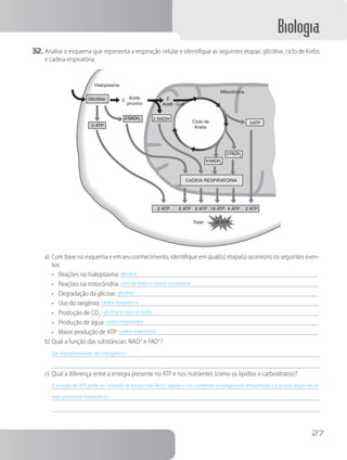 Biologia
27
32.	Analise o esquema que representa a respiração celular e identifique as seguintes etapas: glicólise, ciclo de Krebs
e cadeia respiratória:
Hialoplasma
Ácido
pirúvico
Ciclo de
Krebs
Glicólise
2 ATP
2NADH2 2 NADH
2FADH2
2 ATP 6 ATP 6 ATP 18 ATP
Total: 38 ATP
4 ATP 2 ATP
2ATP
Mitocôndria
Acetil - CoA
22
6NADH2
CADEIA RESPIRATÓRIA
a)	Com base no esquema e em seu conhecimento, identifique em qual(is) etapa(s) ocorre(m) os seguintes even-
tos:
•	 Reações no hialoplasma: glicólise	
•	 Reações na mitocôndria: ciclo de Krebs e cadeia respiratória	
•	 Degradação da glicose: glicólise	
•	 Uso do oxigênio: cadeia respiratória	
•	 Produção de CO2
: glicólise e ciclo de Krebs	
•	 Produção de água: cadeia respiratória	
•	 Maior produção de ATP: cadeia respiratória	
b)	Qual a função das substâncias: NAD+
e FAD+
?
São transportadores de hidrogênios.
c)	Qual a diferença entre a energia presente no ATP e nos nutrientes (como os lipídios e carboidratos)?
A energia do ATP pode ser utilizada de forma mais fácil e rápida e nos nutrientes a energia está armazenada e o acesso depende de
mais processos metabólicos.
 