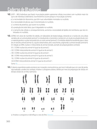 CadernodeAtividades
30
42.	(UFJF – MG) Indivíduos que fazem musculação podem apresentar células musculares com nucléolo maior do
que o de indivíduos sedentários. Esse fenômeno ocorre porque a musculação aumenta:
x	a)	a necessidade de ribossomos, que têm suas subunidades montadas no nucléolo.
b)	a necessidade de glicose, que é ressintetizada no nucléolo.
c)	a síntese de proteínas, que ocorre no nucléolo.
d) a produção de ácido lático, que é degradado no nucléolo.
e)	o tamanho das células e, consequentemente, aumenta a necessidade de lipídios de membrana, que são sin-
tetizados no nucléolo.
43.	(UFMS) Um clone de mamífero foi obtido, em laboratório de biotecnologia, retirando-se o núcleo de uma célula
somáticadeumanimaladulto(animal1)eintroduzindo-o(somenteonúcleo)emumóvuloenucleado(óvulocom
o material genético nuclear removido) de um outro animal (animal 2). O embrião obtido foi transferido para o útero
de um terceiro animal (animal 3), o qual se desenvolveu até o nascimento, originando o animal clonado (animal 4).
Em relação ao DNA, nuclear e mitocondrial, do animal clonado, assinale a(s) proposição(ões) correta(s):
01)	 O DNA nuclear do animal 4 é igual ao do animal 2.
x	 02)	 O DNA mitocondrial do animal 4 é igual ao do animal 2.
x	 04)	 O DNA nuclear do animal 4 é igual ao do animal 1.
08)	 O DNA mitocondrial do animal 4 é igual ao do animal 3.
16)	 O DNA nuclear do animal 4 é igual ao do animal 3.
32) O DNA mitocondrial do animal 4 é igual ao do animal 1.
Soma: 06	
44.	O aborto espontâneo pode acontecer por mutações cromossômicas, por isso é indicado que, em caso de perda,
seja realizada a análise do cariótipo. Analise o cariograma abaixo, obtido por meio da preparação de células em
divisão celular de um feto natimorto:
1
6
13
19 20 21 22 x y
14 15 16 17 18
2
7
3
8
4
9
5
10 11 12
a)	Analise o cariograma e identifique o sexo do feto: Feminino	
 